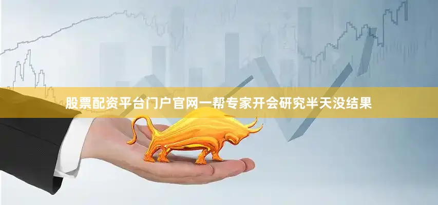 股票配资平台门户官网一帮专家开会研究半天没结果